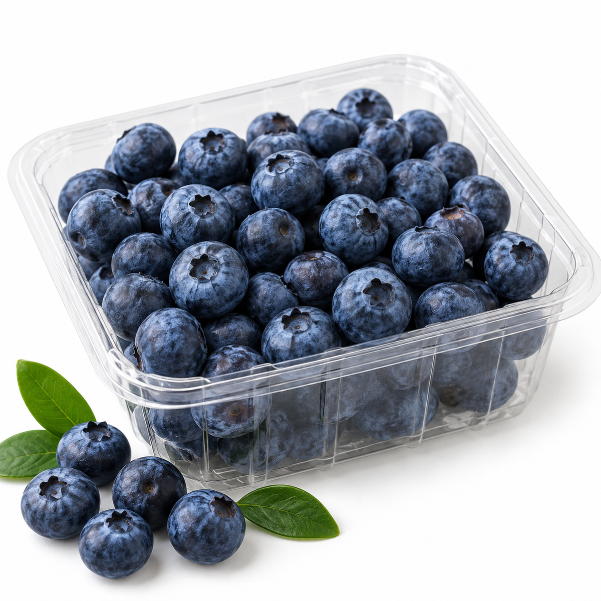 Blueberries – 250 g